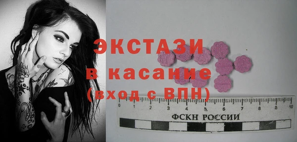 индика Кулебаки