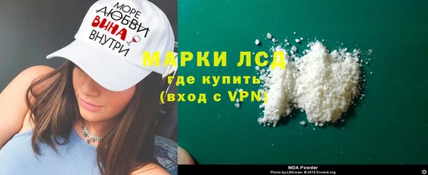 индика Кулебаки