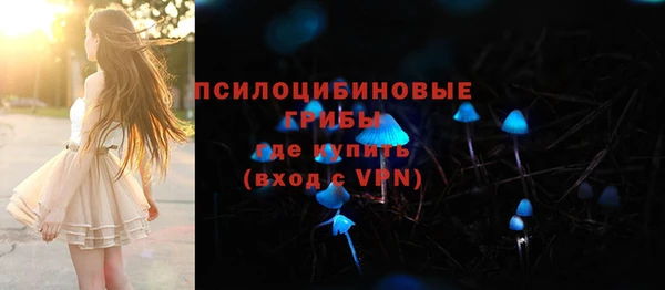 индика Кулебаки