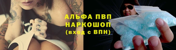 индика Кулебаки