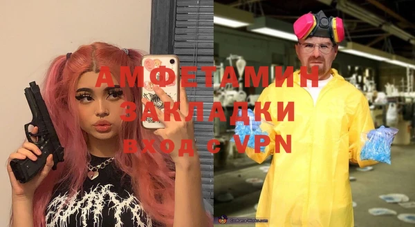 индика Кулебаки