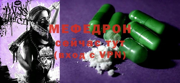 индика Кулебаки