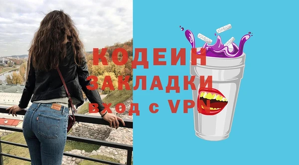 индика Кулебаки
