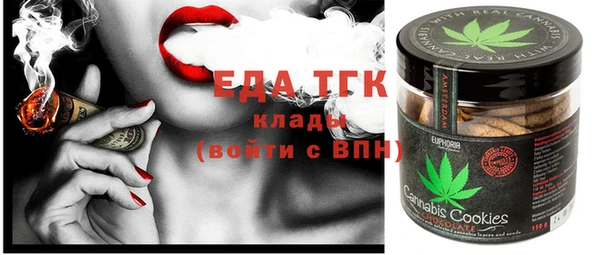 индика Кулебаки