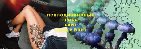 молекула духа Куйбышев
