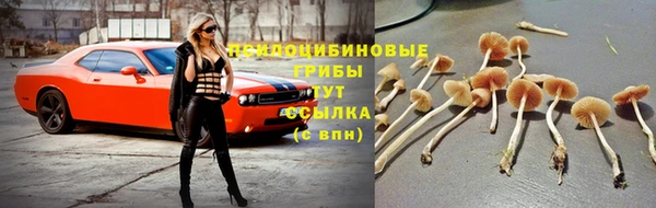 кокаин перу Кукмор