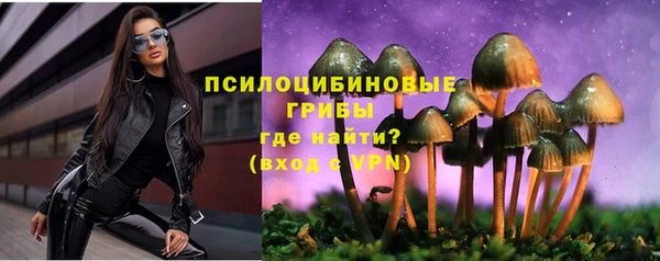 молекула духа Куйбышев