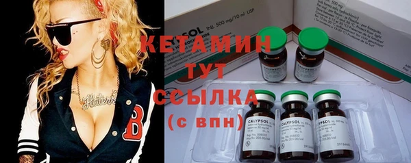 индика Кулебаки